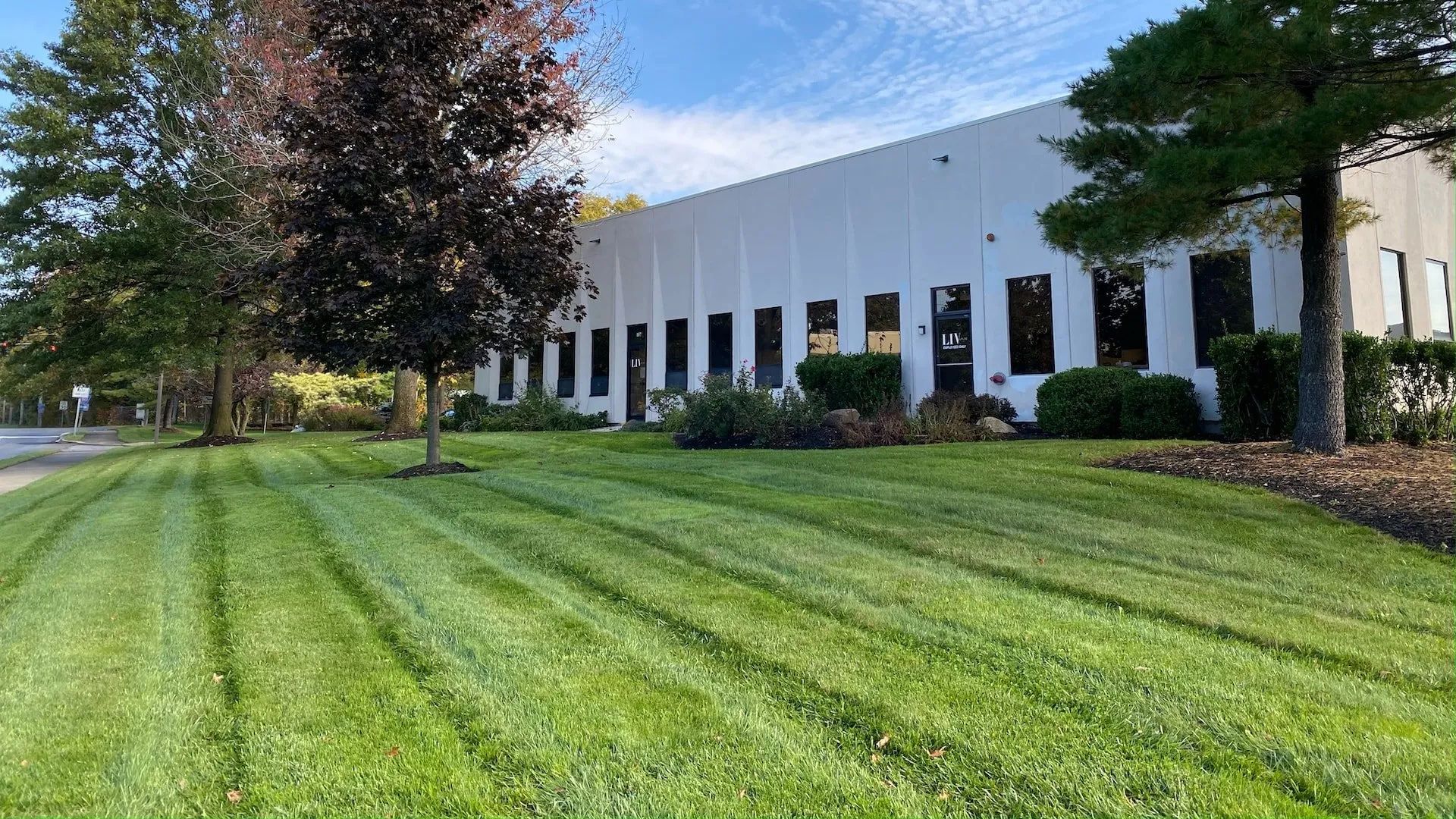 Professional commercial lawn maintenance