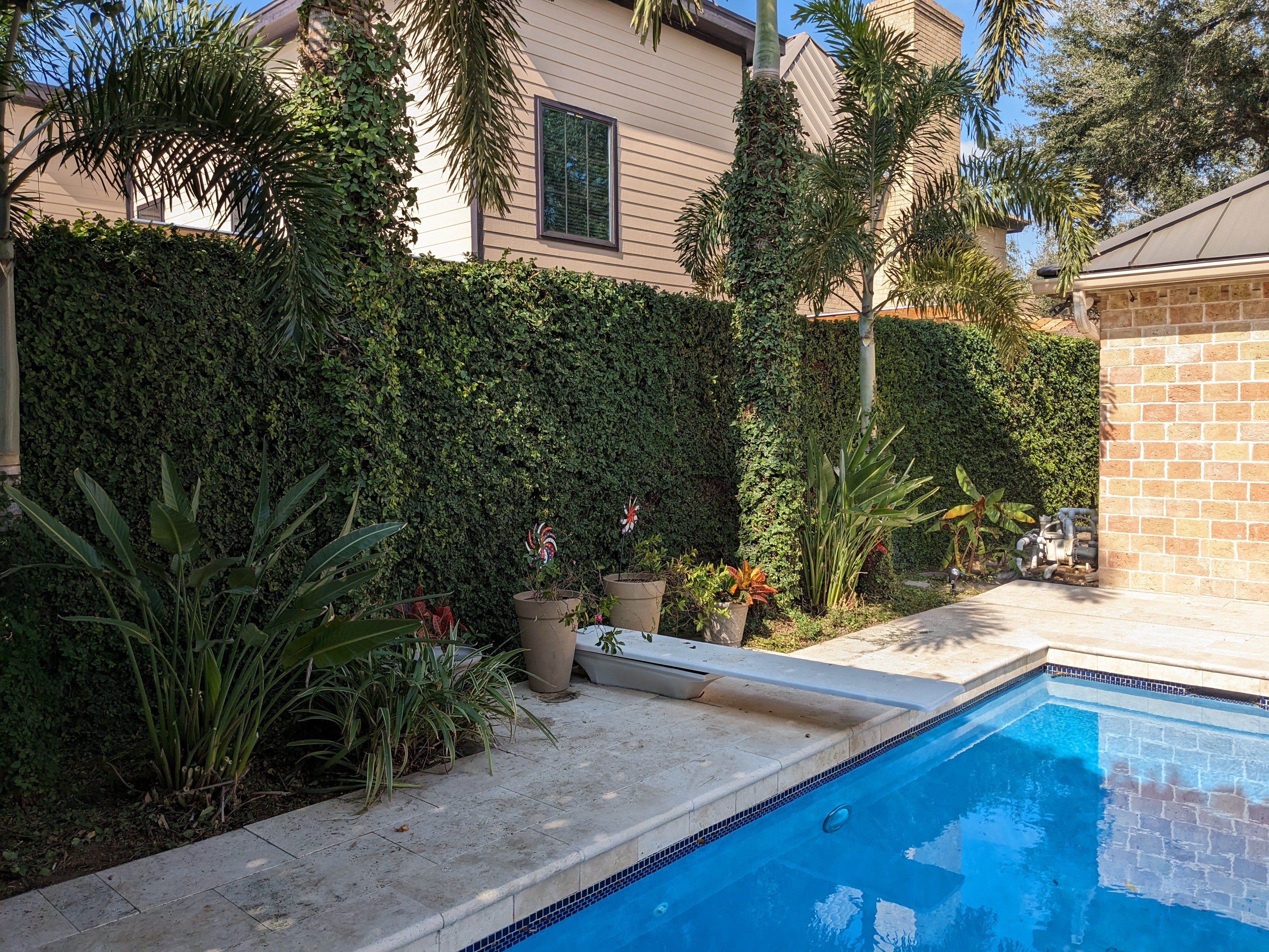 Beautiful pool area landscaping