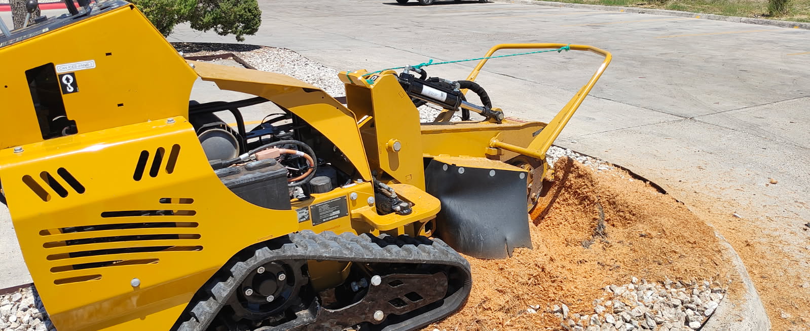 Professional stump grinder with fresh wood chips showing grinding results