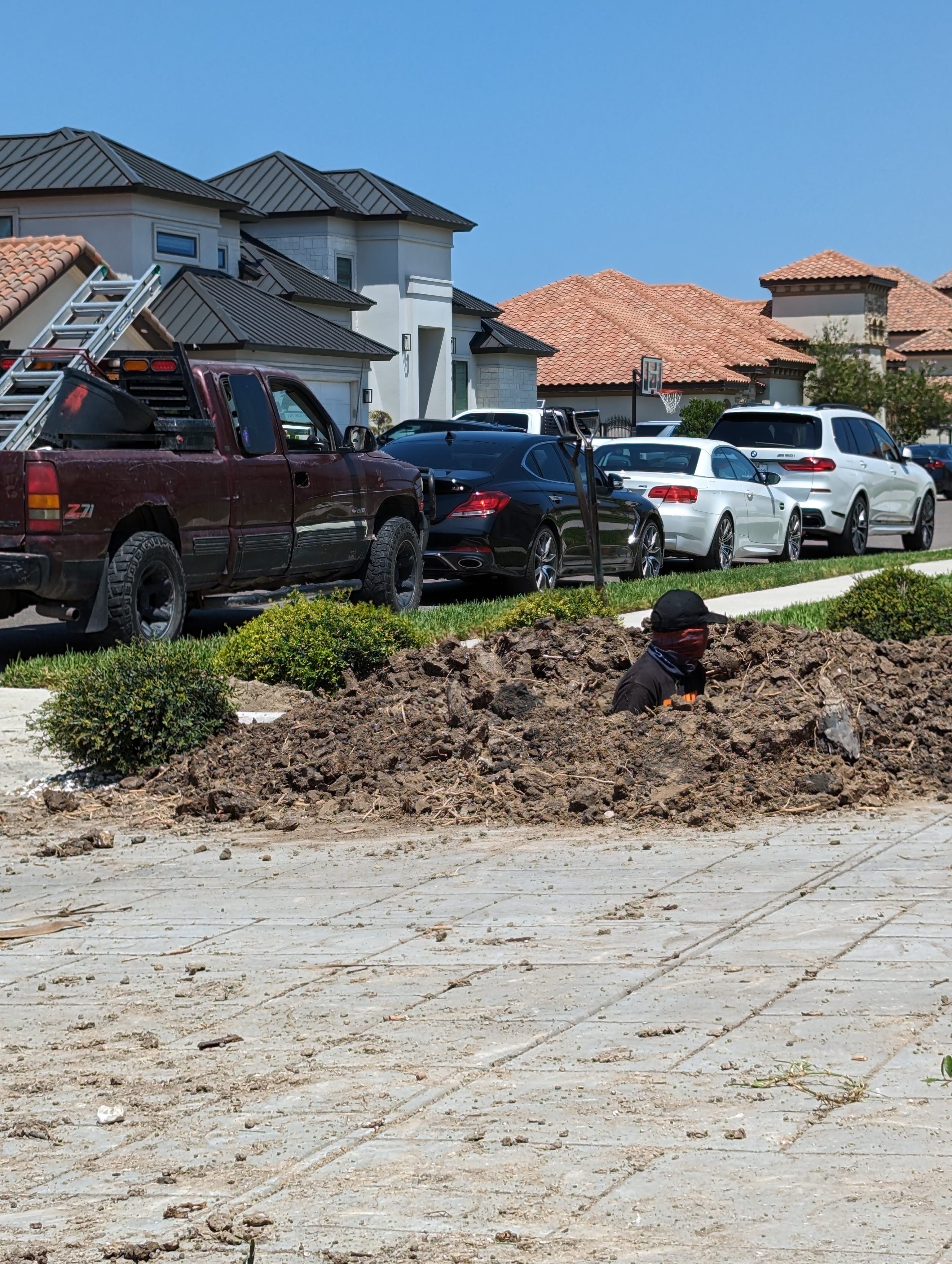 Stump grinding work in progress
